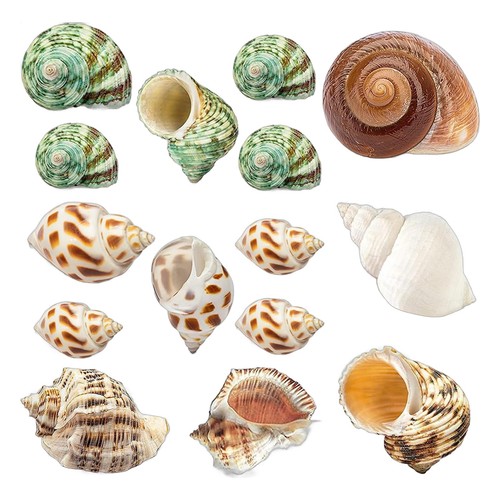 Qeqekaka 15pcs hermit - 15pcs,