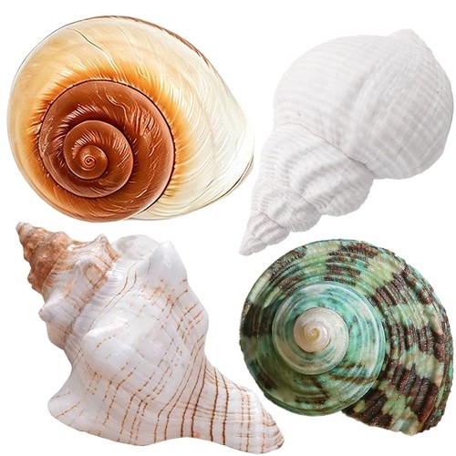 4pcs large hermit crab - large,
