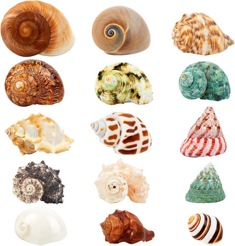 15pcs hermit crab shells - 15pcs,