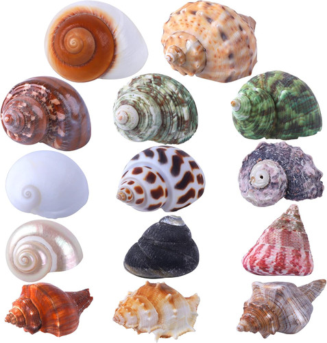 14pcs kind small medium - 14pcs, 14