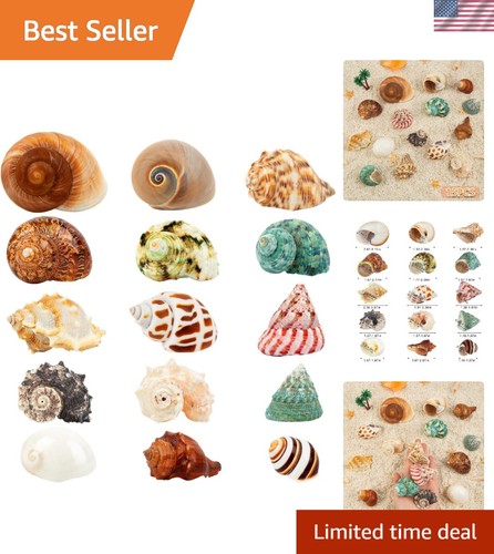 15pcs hermit crab - 15pcs, shells