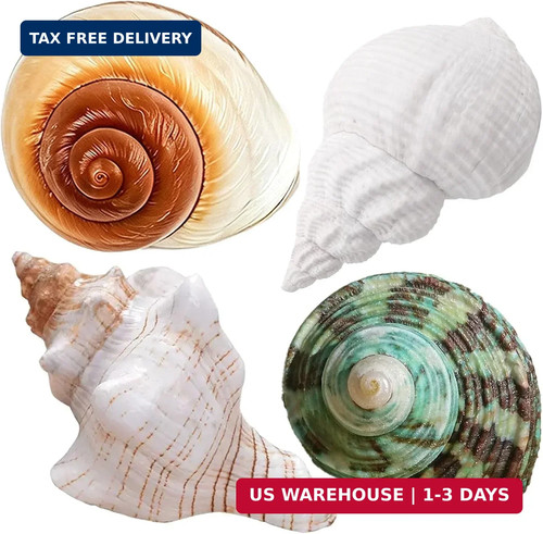 4pcs large hermit crab - 4pcs,